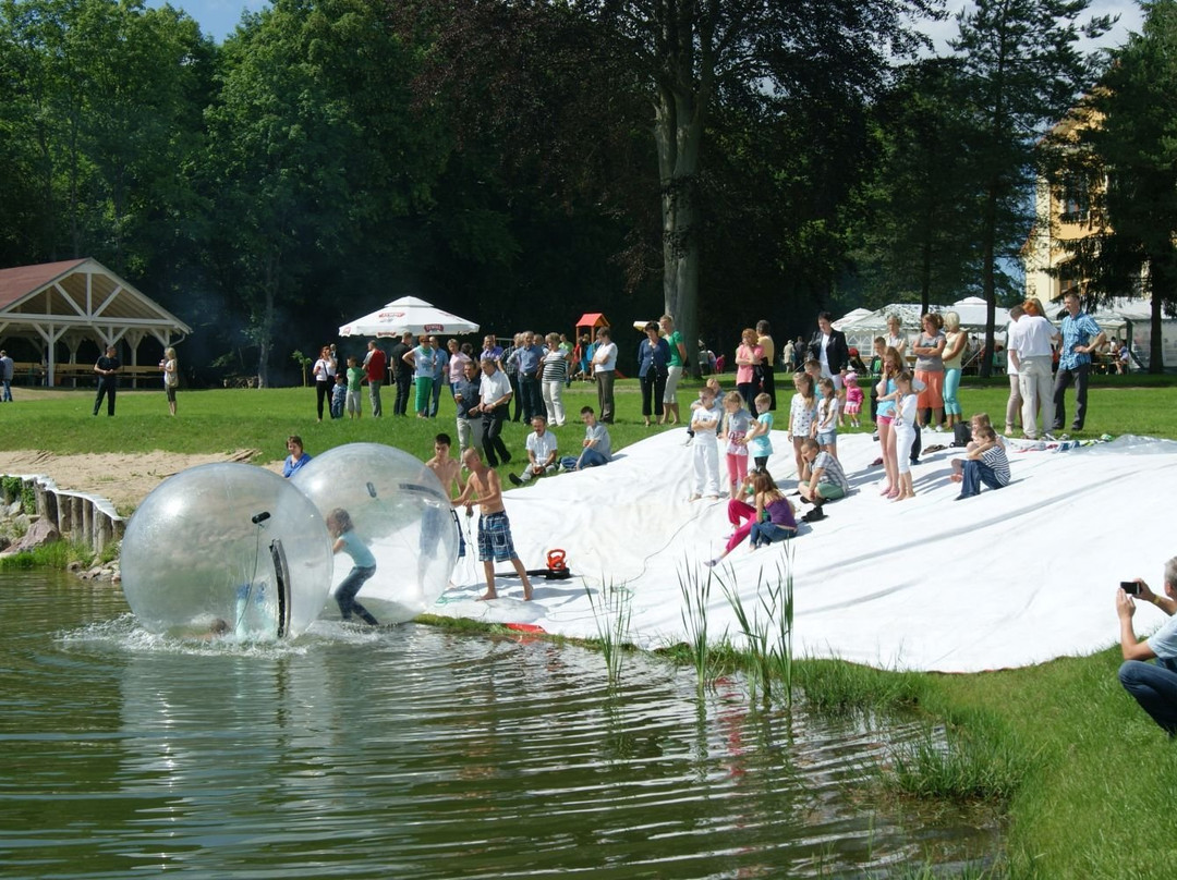 Palac w Rymaniu主图