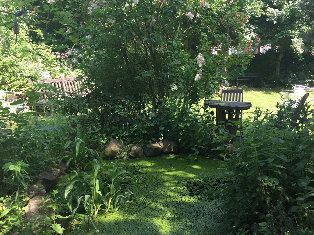 The Green Place景点图片