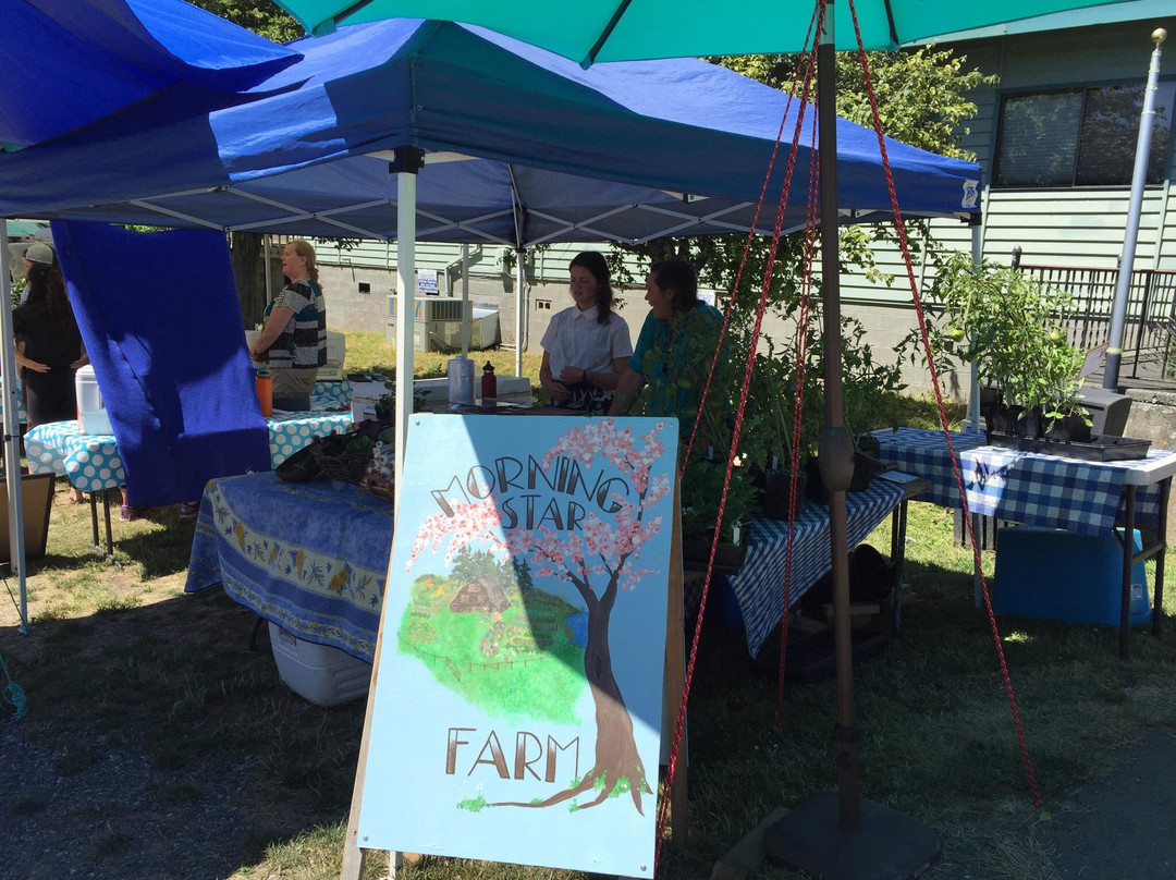 Orcas Island Farmers Market-Eastsound必去景点