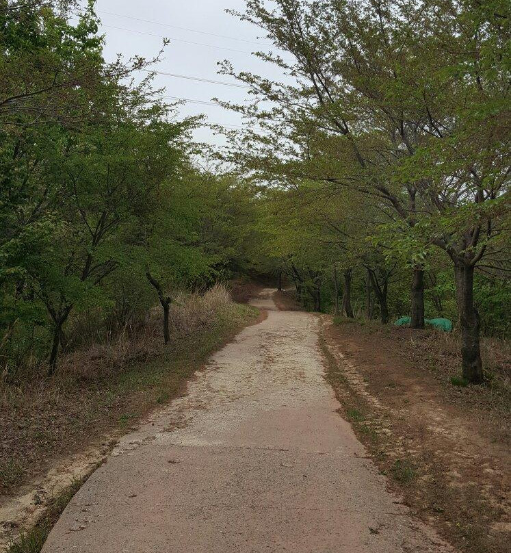 Yeomposan Mountain-蔚山必去景点