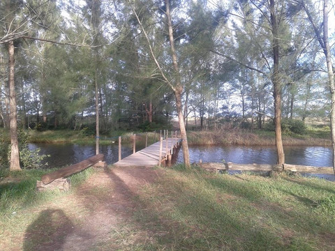 Viareggio Beach-Ilha Comprida必去景点