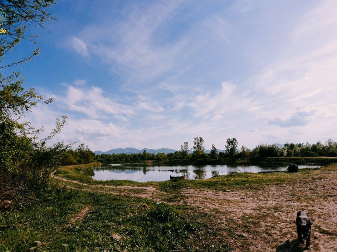 Buffalo Farm Saldobosh景点图片