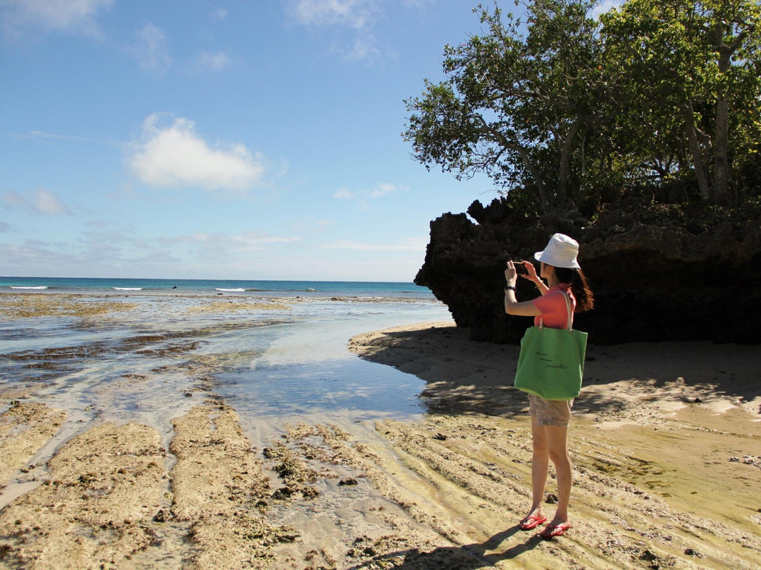 Navo Cave Tour-辛加东卡必去景点