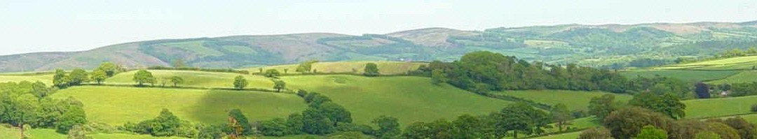 Quantock Hills Area of Outstanding Natural Beauty景点图片