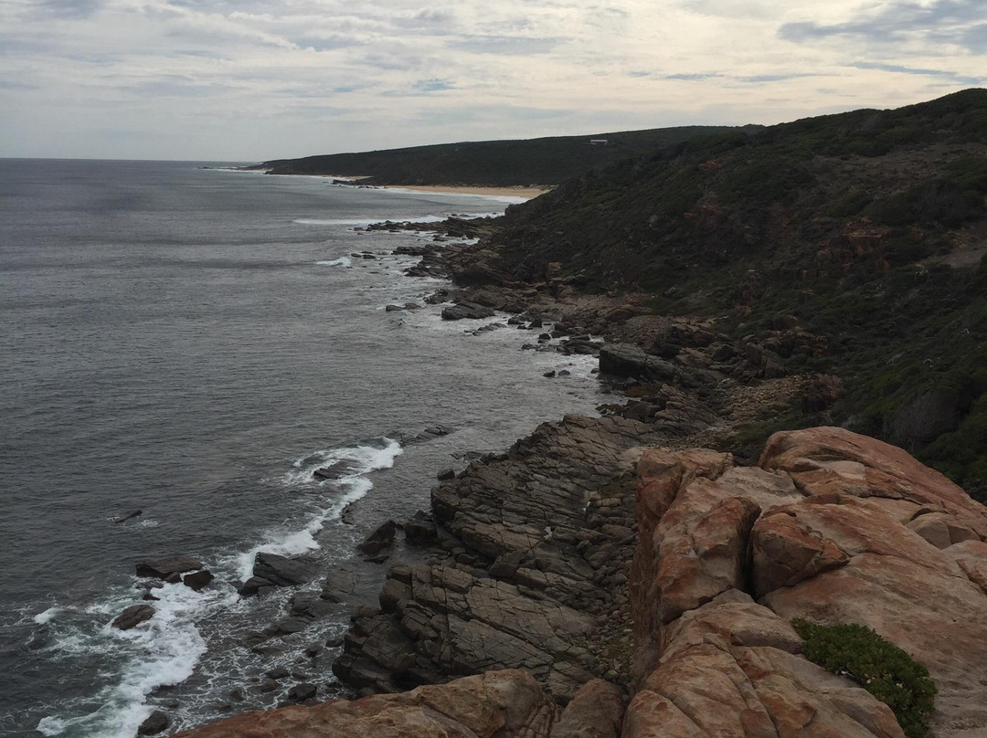 Margaret River Nature Tours-玛格丽特河必去景点