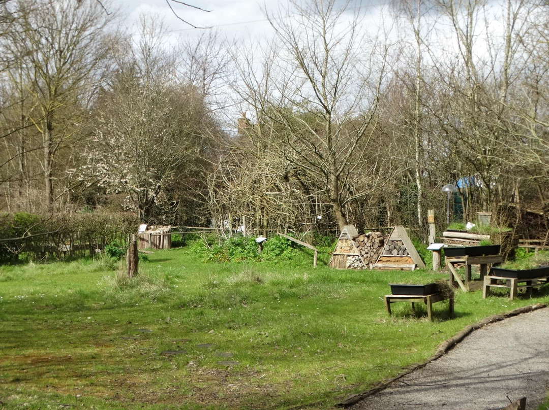 Tyland Barn Nature Park-梅德斯通必去景点