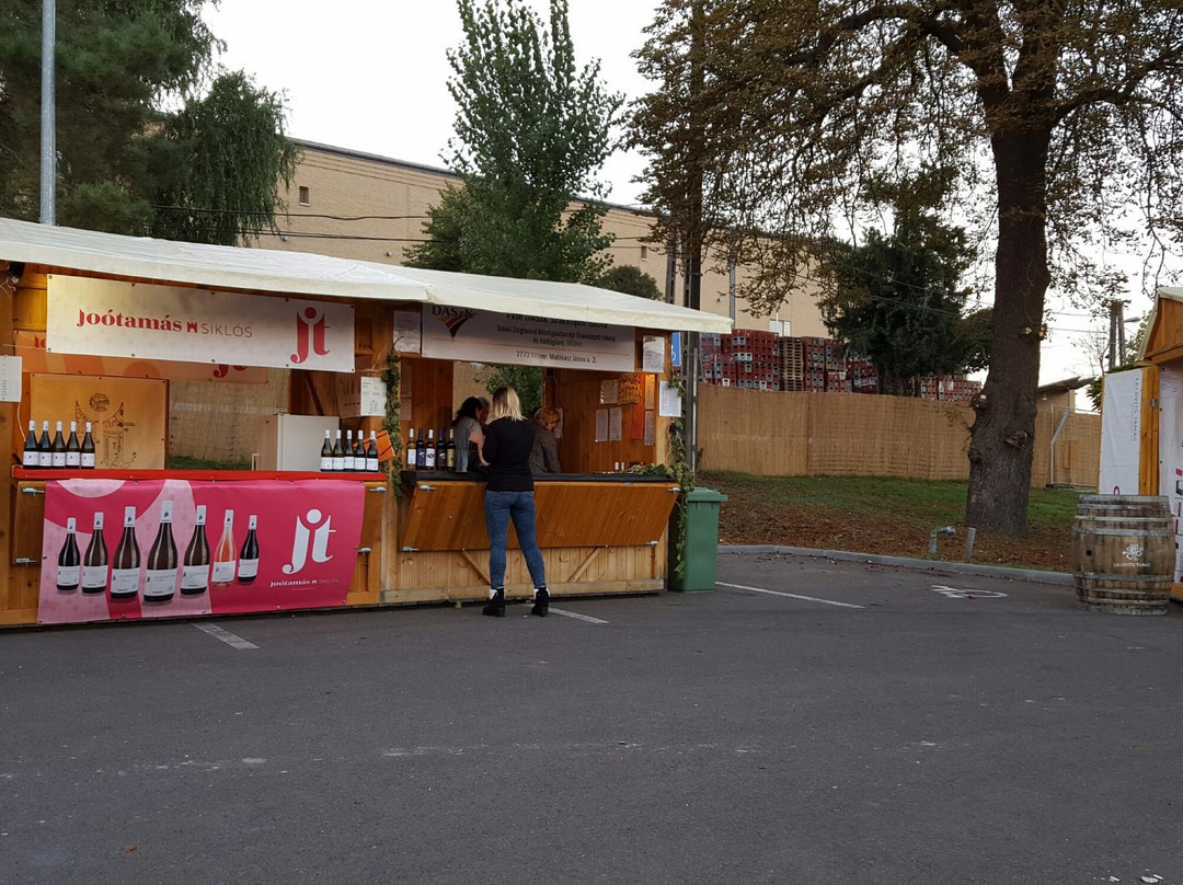 Joó Winery Siklós景点图片
