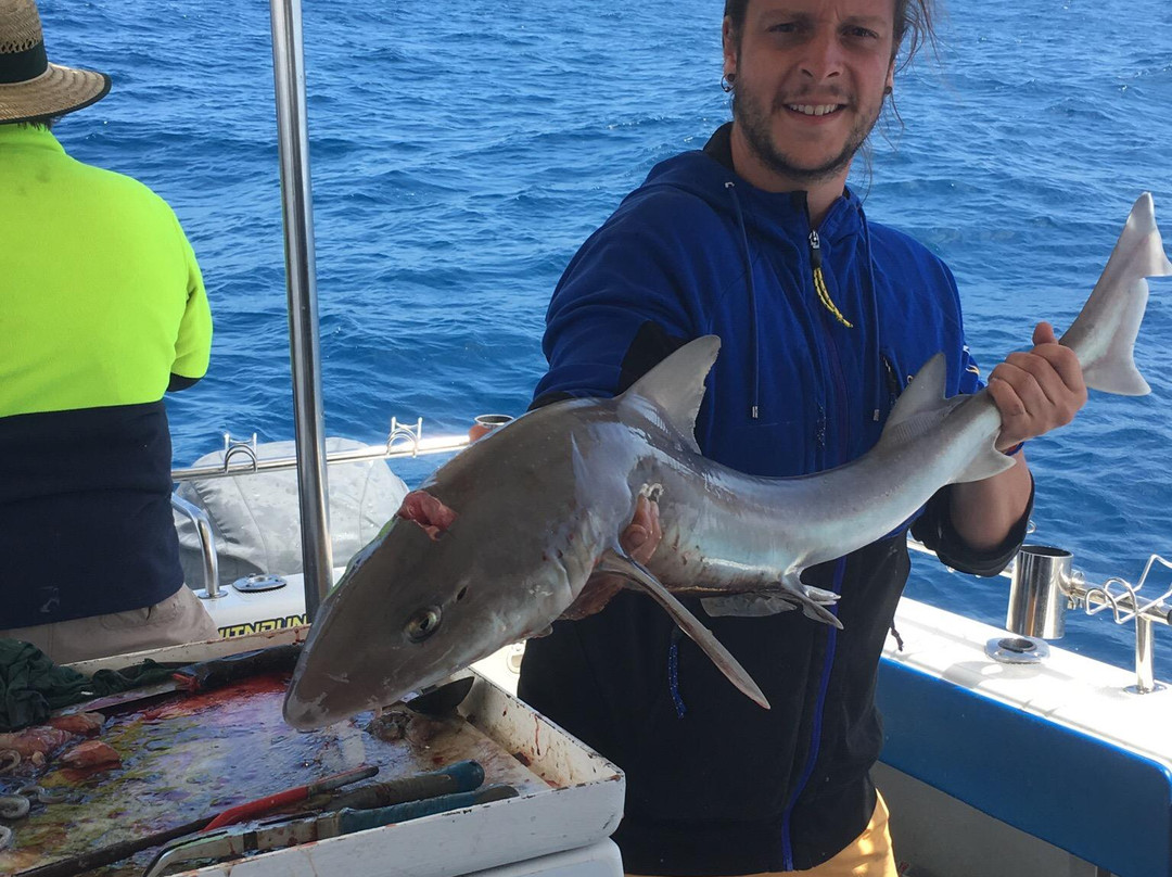 Hit n Run Fishing Charters-阿波罗湾必去景点