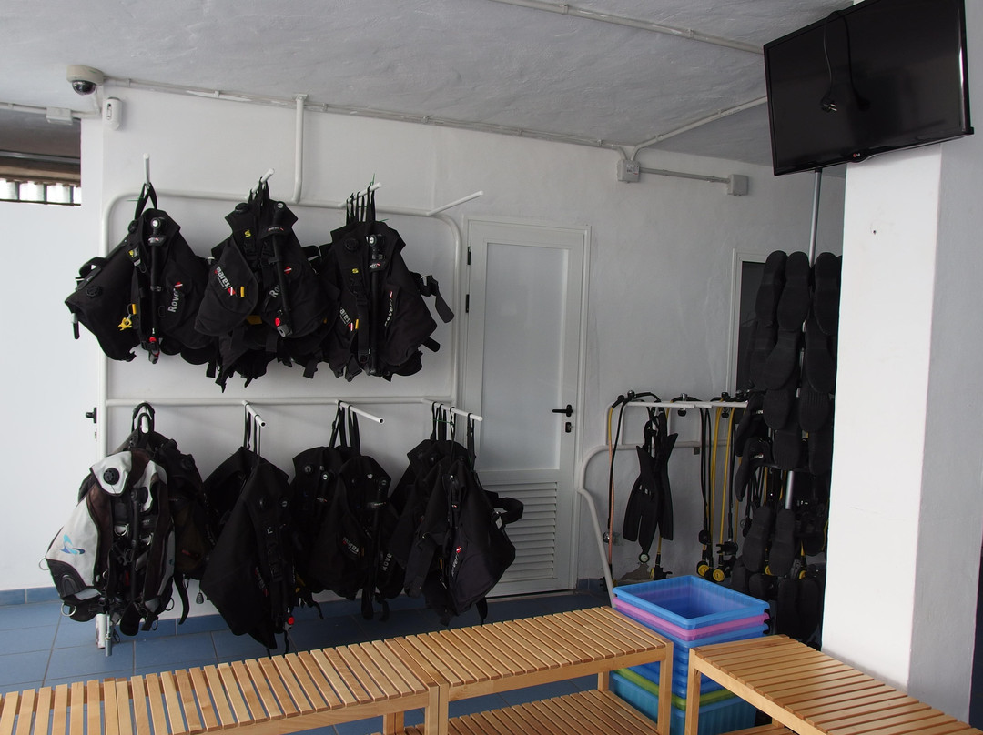 Native Diving Puerto del Carmen-卡门港必去景点