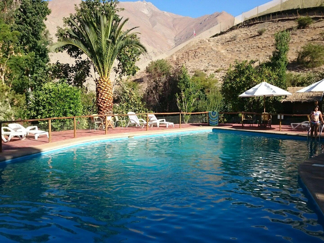 El Galpon Pisco Elqui主图