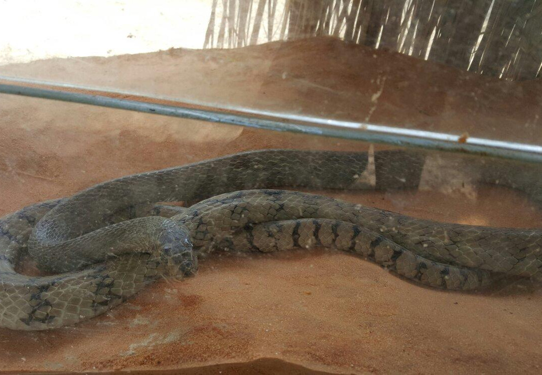 Vita Garden Mini-Zoo-藩切市必去景点