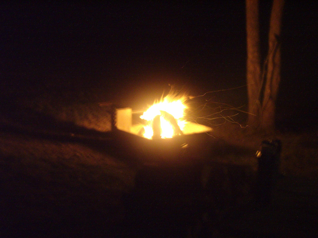 Cooper Lake State Park-Sulphur Springs必去景点