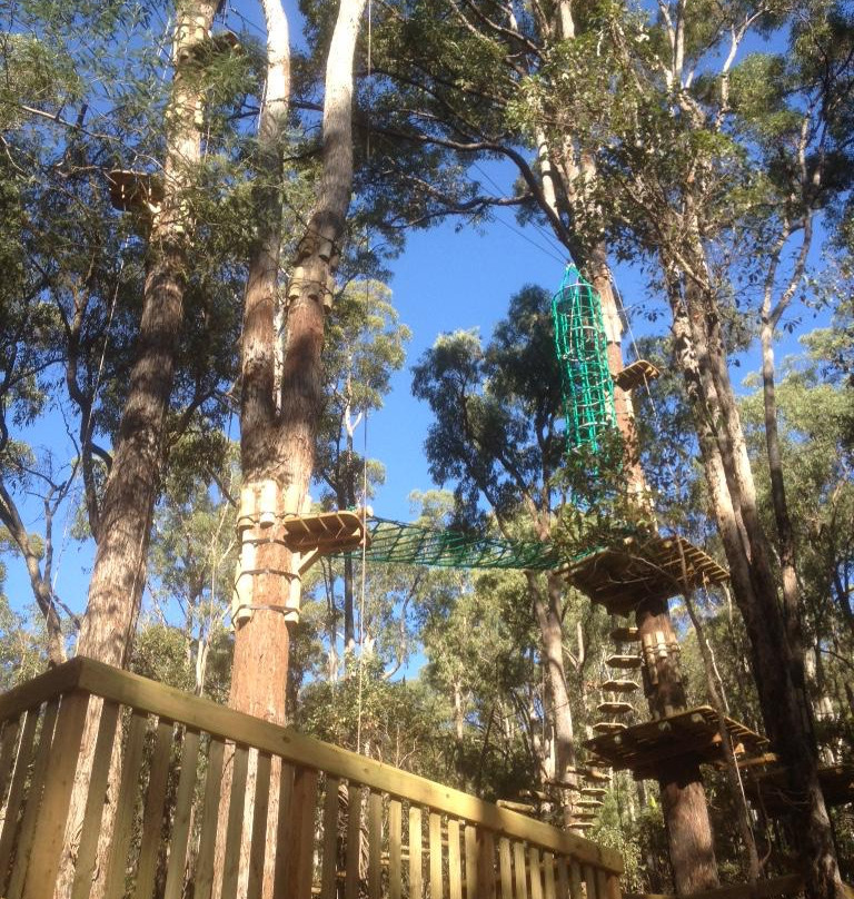 Treetops Adventure Dwellingup景点图片