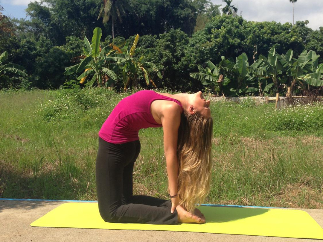 Yoga Teacher Training Thailand-清莱必去景点
