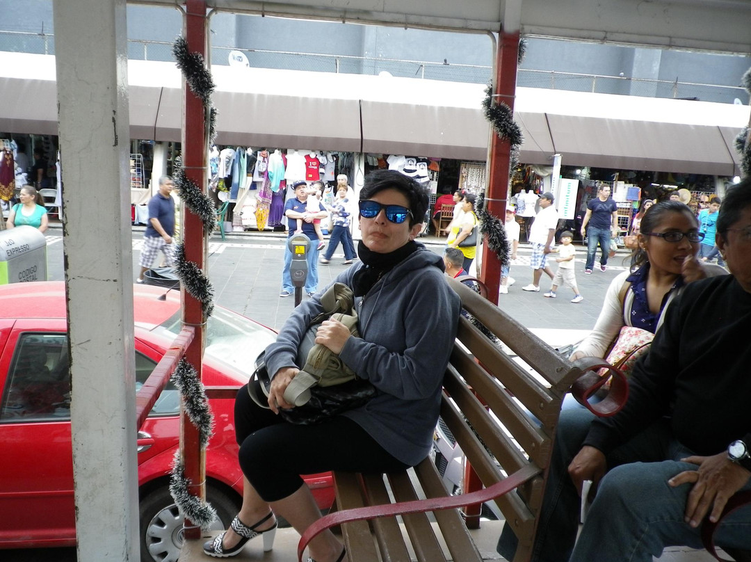 Tranvias Veracruz-韦拉克鲁斯必去景点