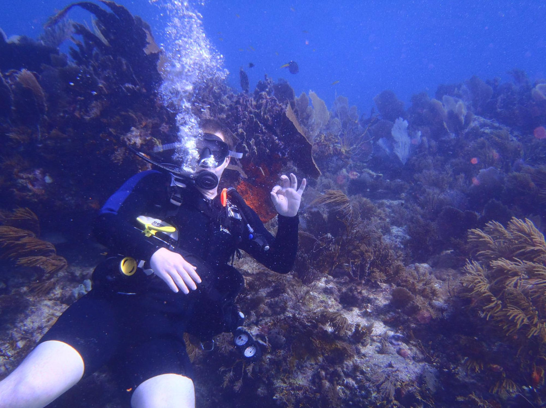 Molasses Reef景点图片
