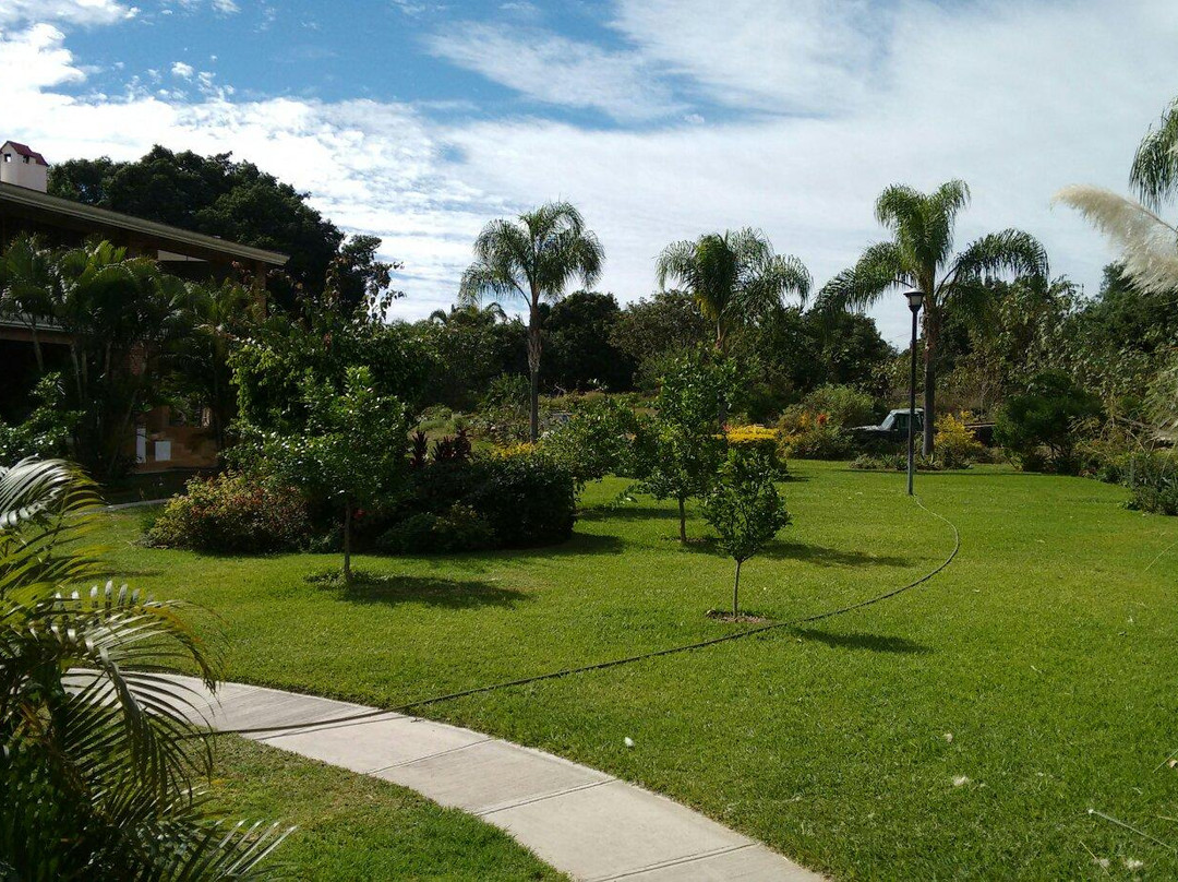 Capital O La Joya Del Lago主图