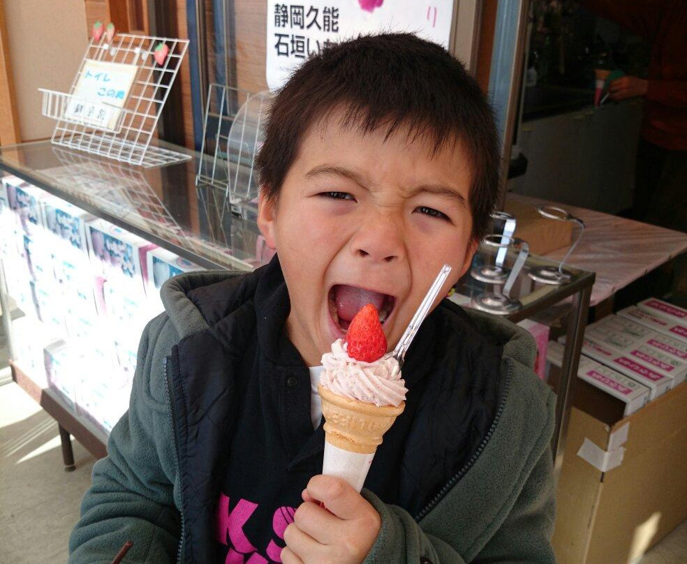 Ishigaki Strawberries景点图片
