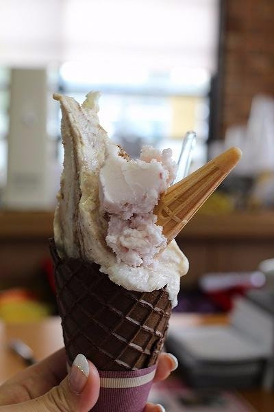 Michi no Eki  Agri Park Ryuo-龙王町必去景点