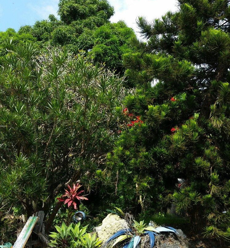 Joe's Nuts-库克船长必去景点