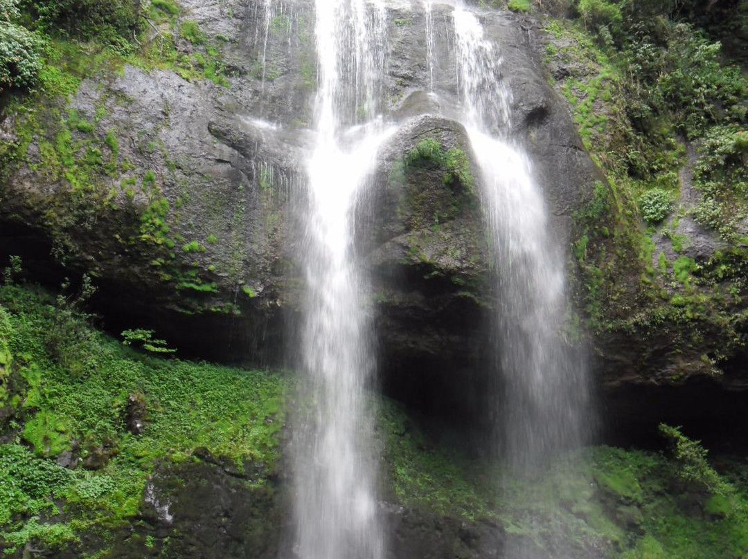 Cascata da Baleia景点图片