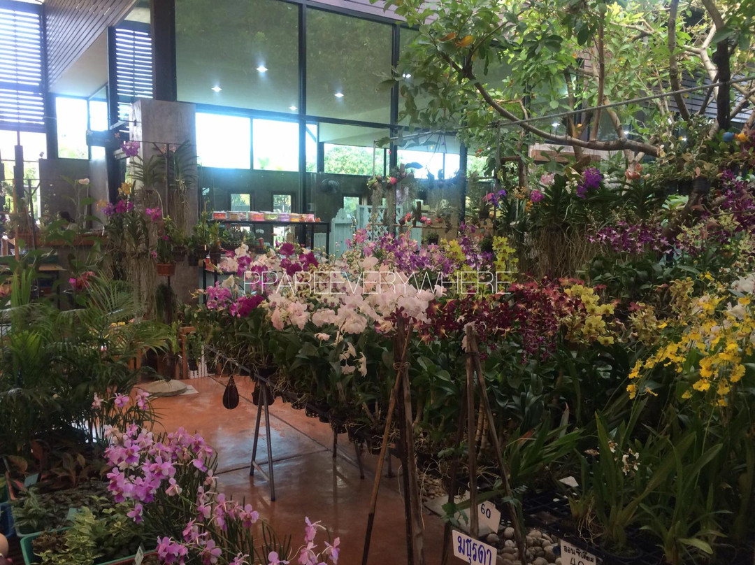 The Blooms Orchid Park景点图片
