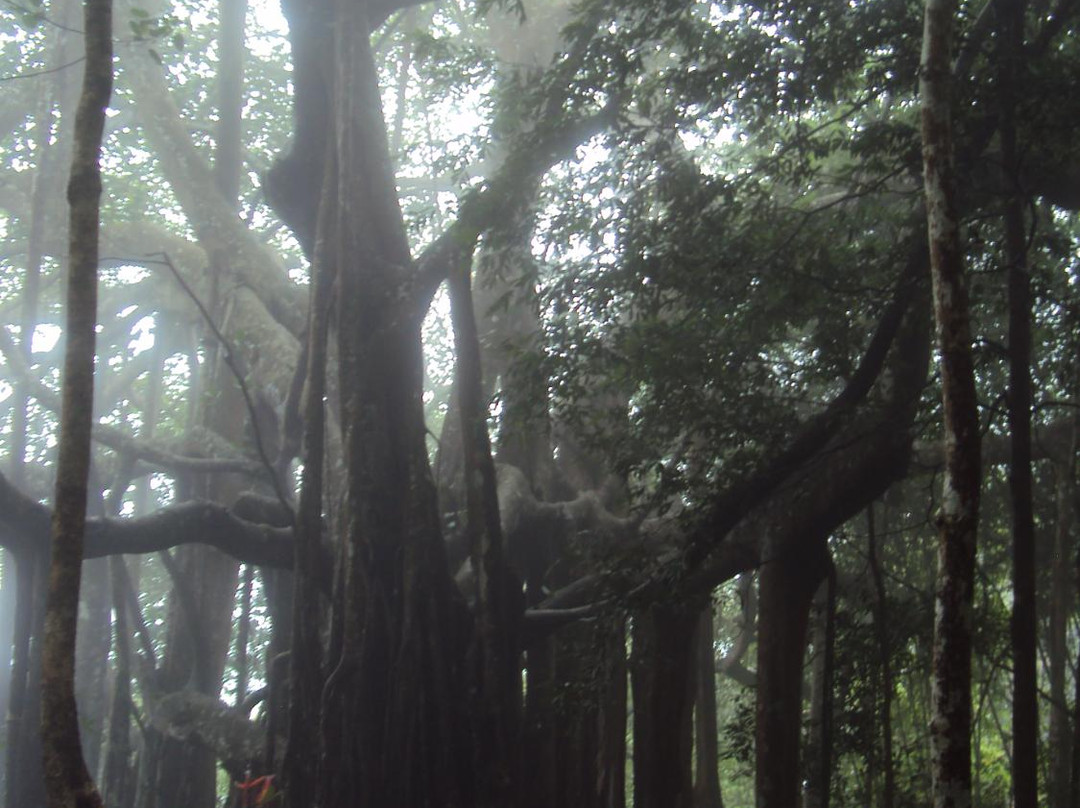 Ramkhamhaeng National Park景点图片
