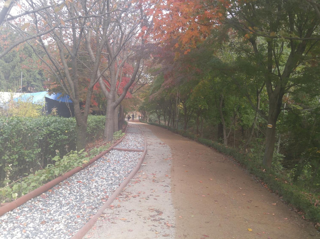 Gwanggyosan Mountain-水原市必去景点
