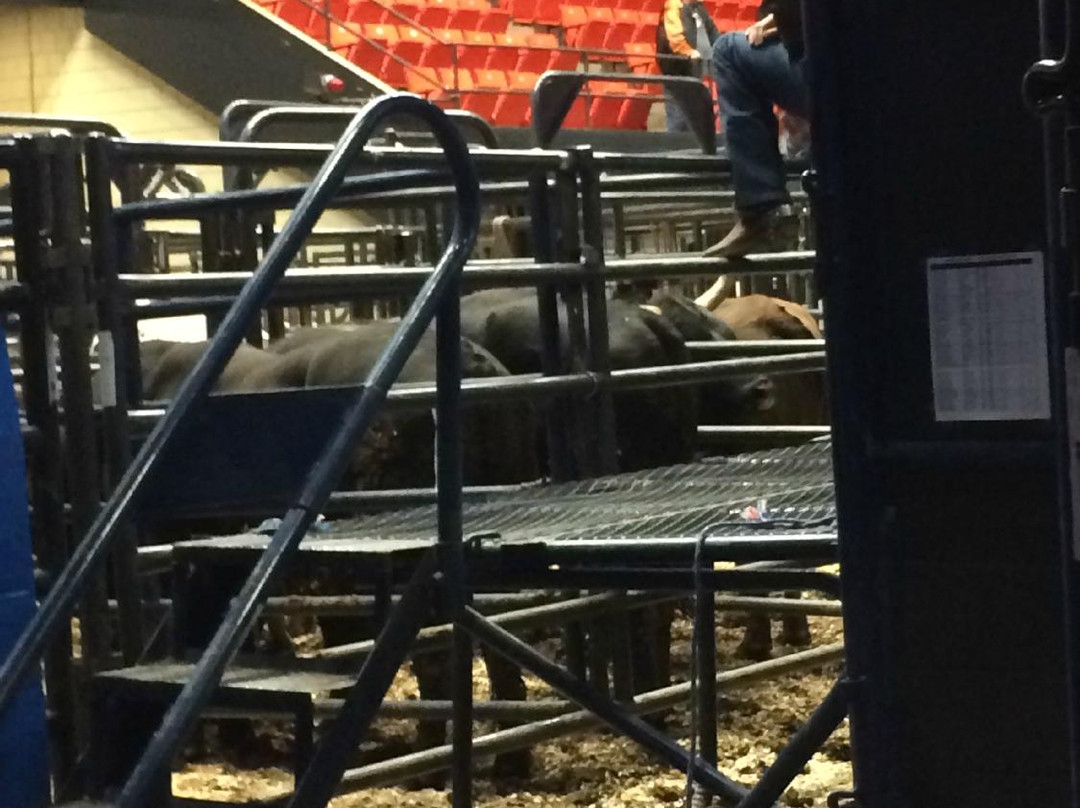 WesBanco Arena-Wheeling必去景点