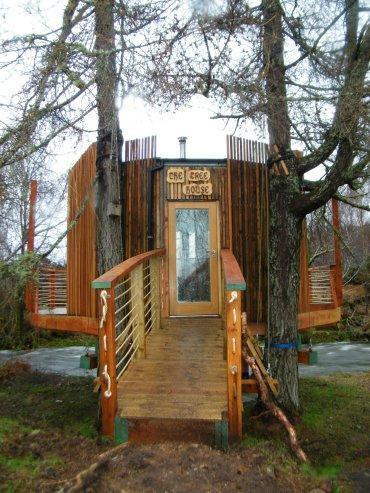 The Tree House景点图片
