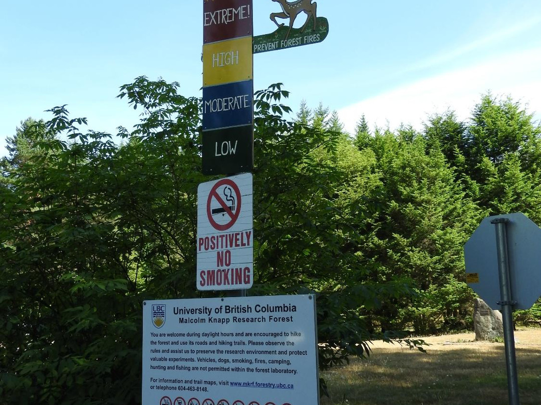 Malcolm Knapp Research Forest-枫树岭必去景点