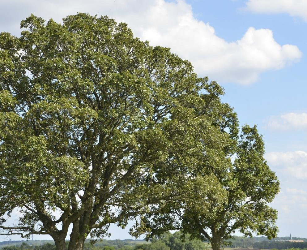 Pope Farm Conservency-Middleton必去景点