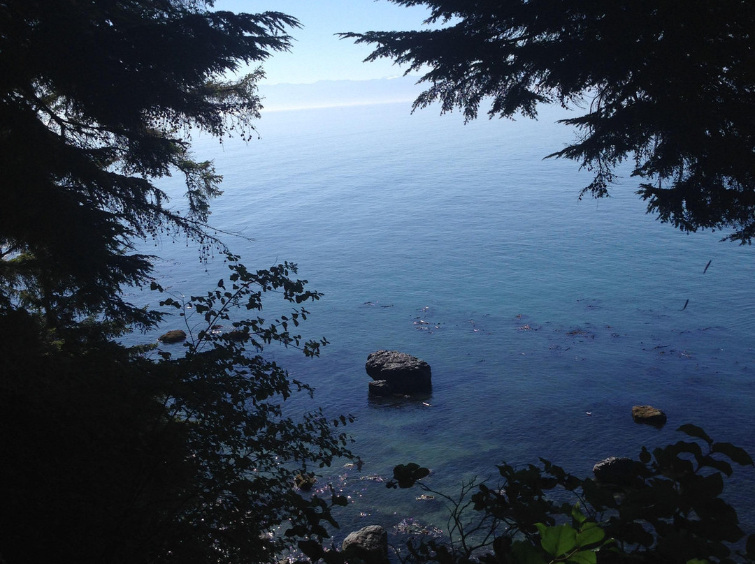Juan de Fuca Provincial Park景点图片