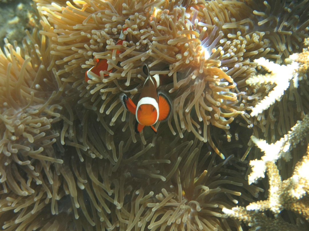 Paserang Island-Sumbawa必去景点