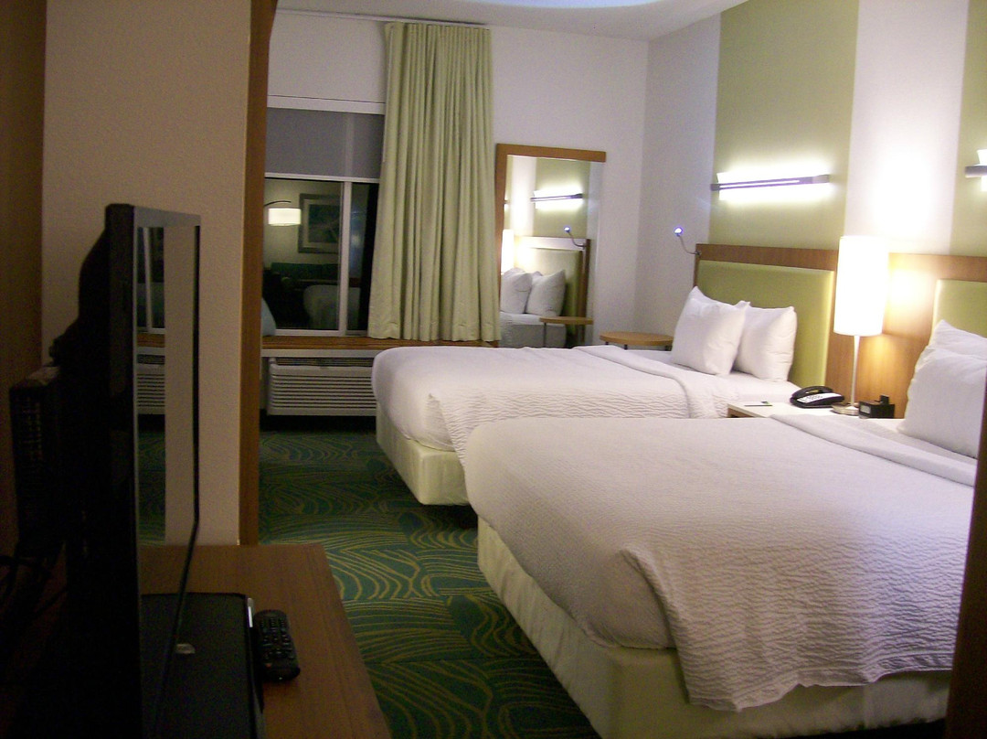 卡瑞酒店住宿-SpringHill Suites by Marriott Raleigh Cary