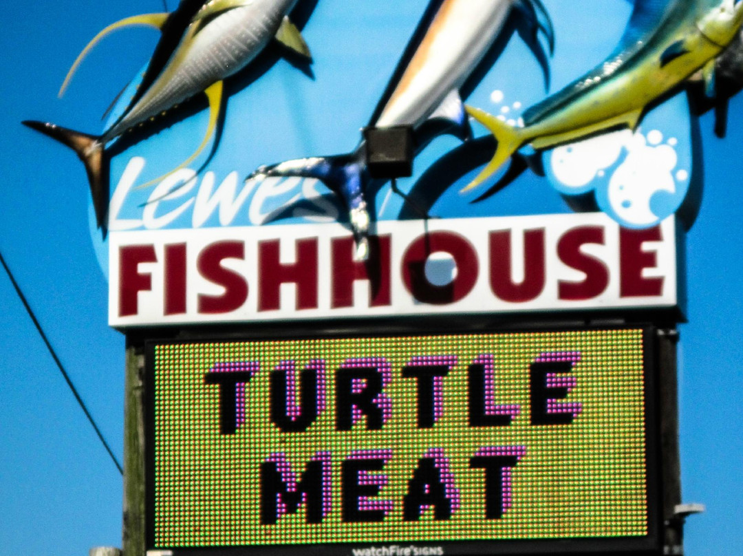 1812 Memorial Park-刘易斯必去景点