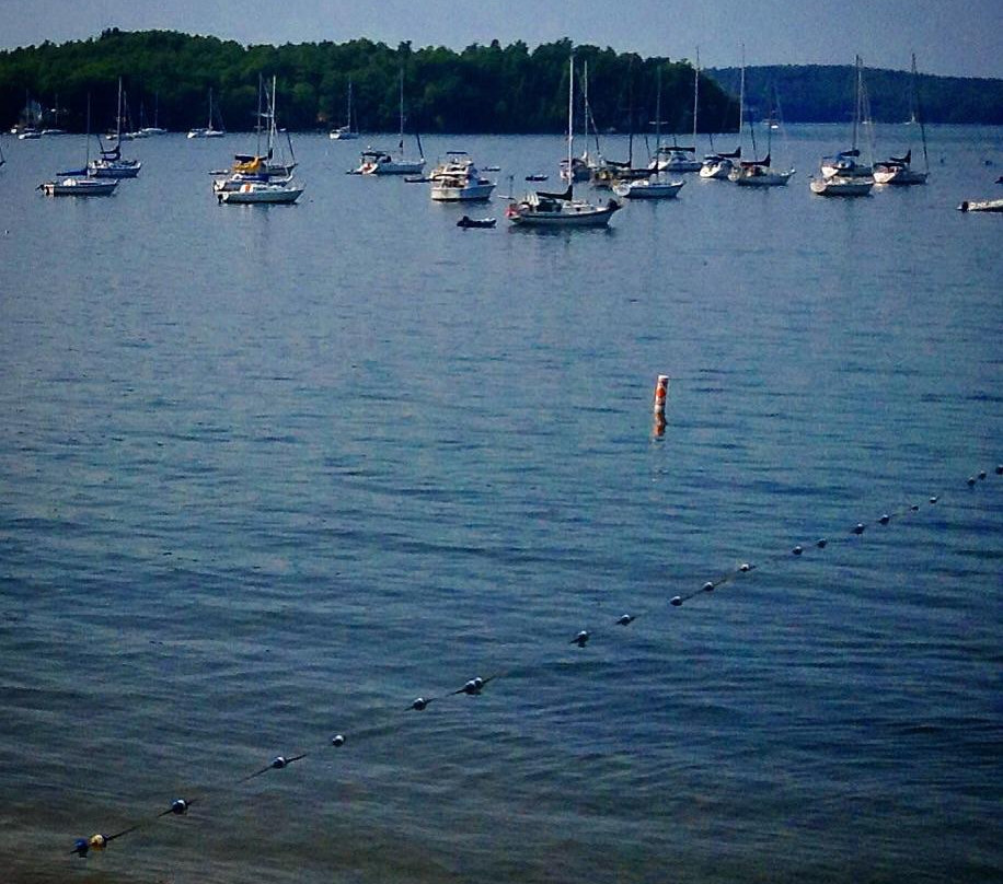 Bayside Park-Colchester必去景点