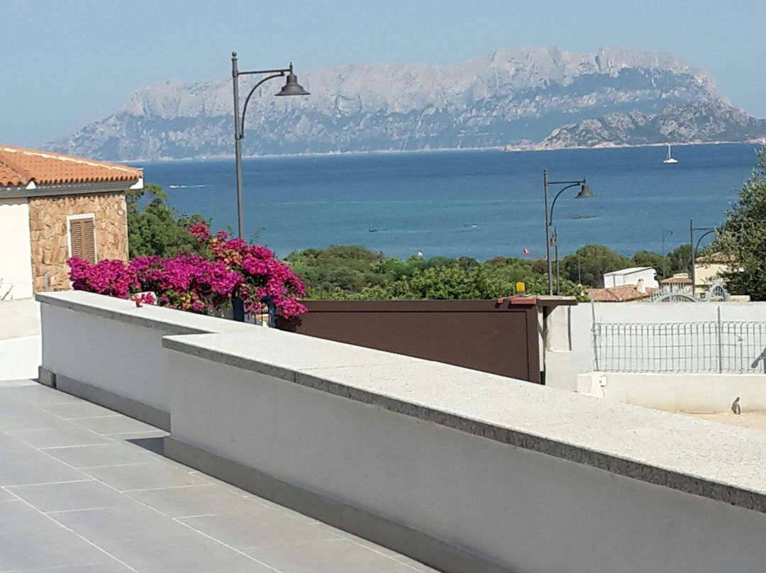 B&B Domus de Diana主图