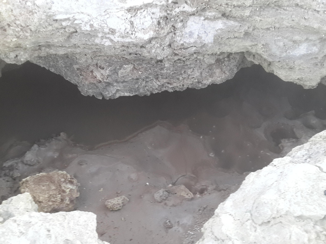 Sulphur Point-罗托鲁瓦必去景点