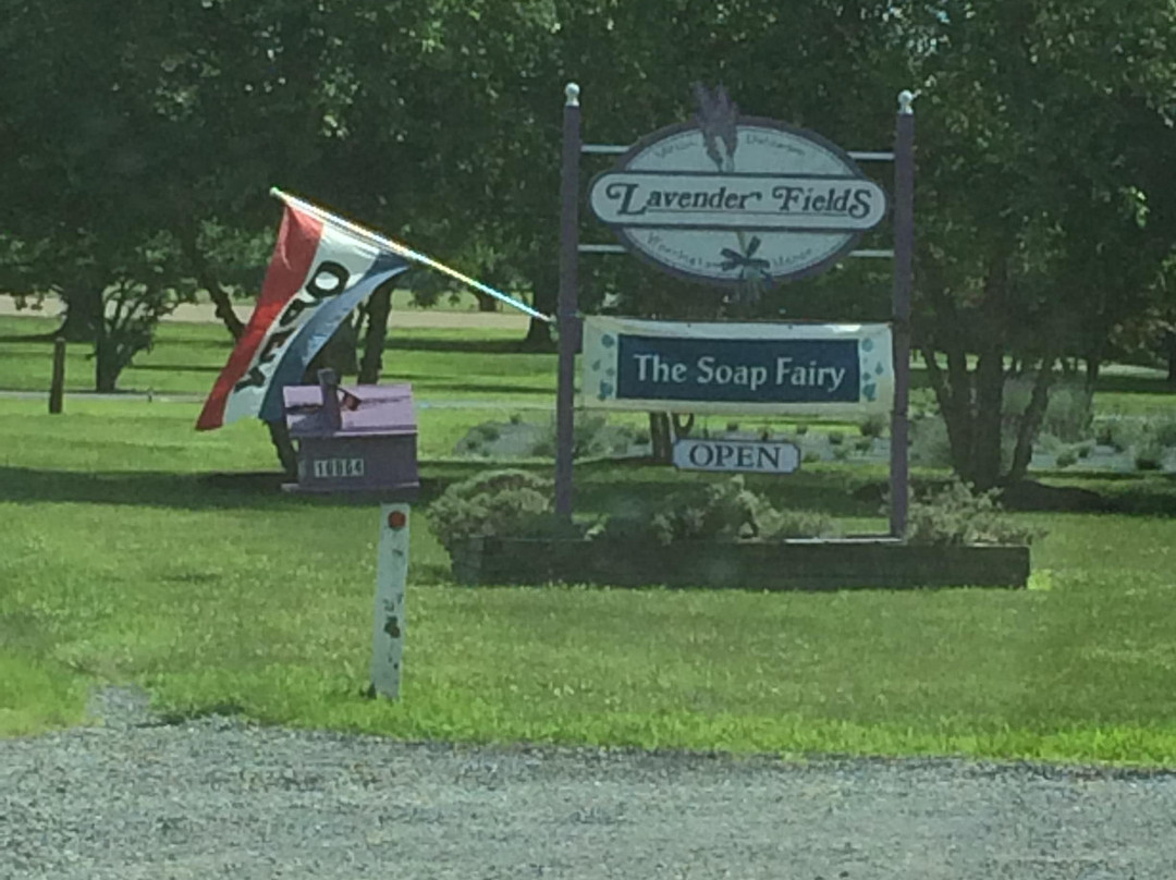 Lavender Fields Farm-Milton必去景点