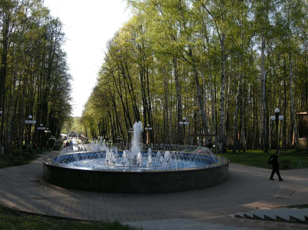 Park Beryozovaya Roshha景点图片