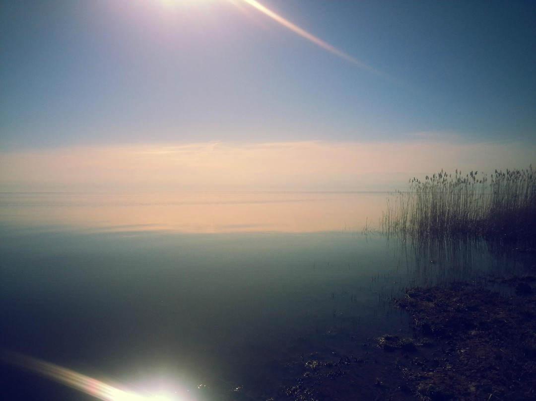 Chudskoye Lake景点图片