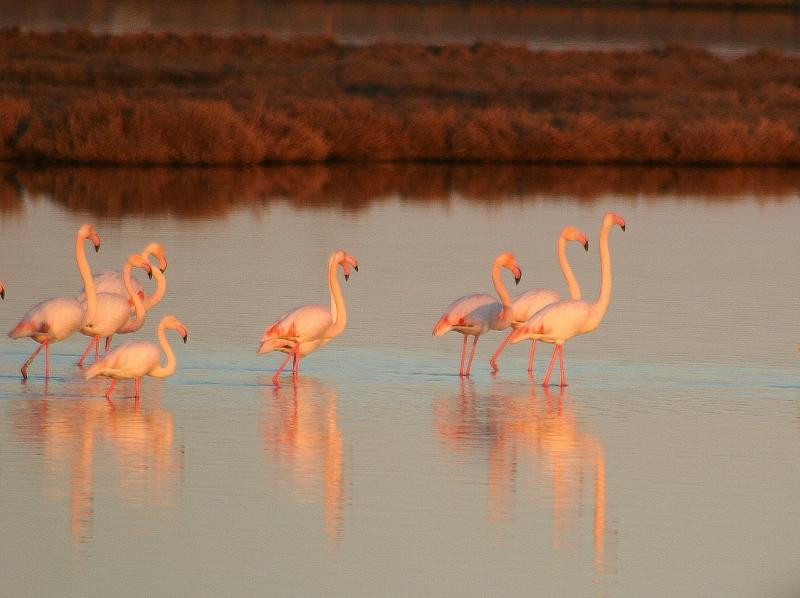 Vistonida Lake景点图片