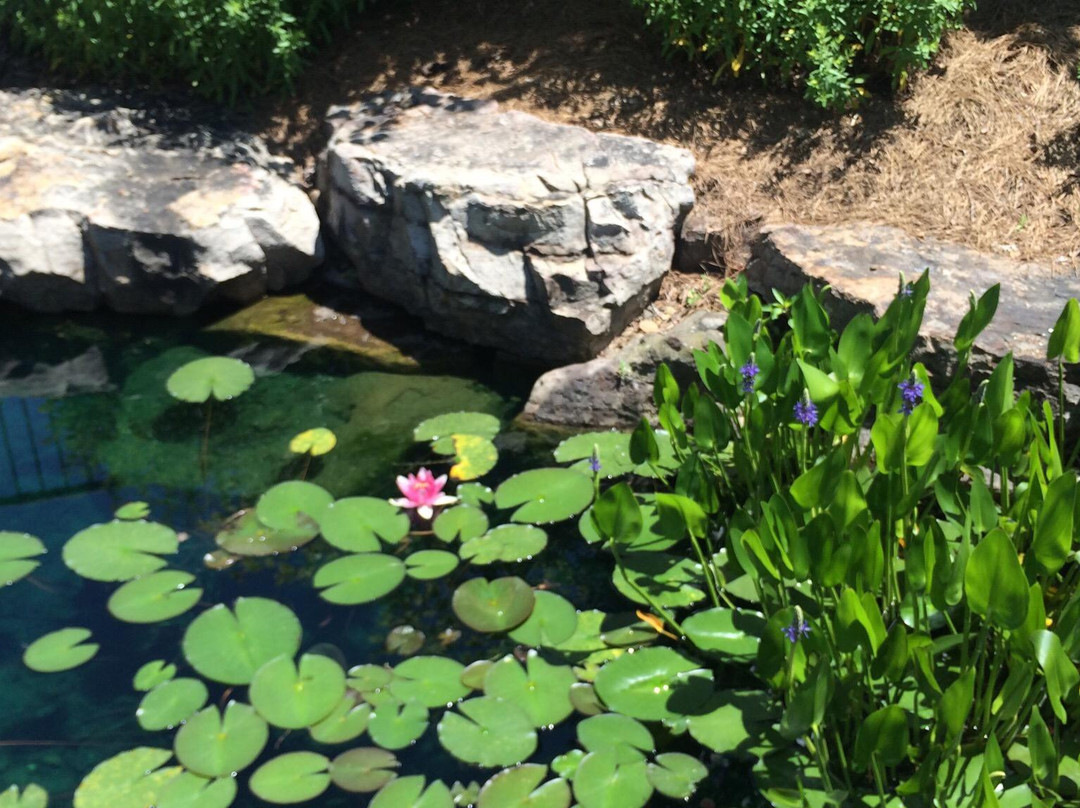 Botanical Garden of the Ozarks-费耶特维尔必去景点