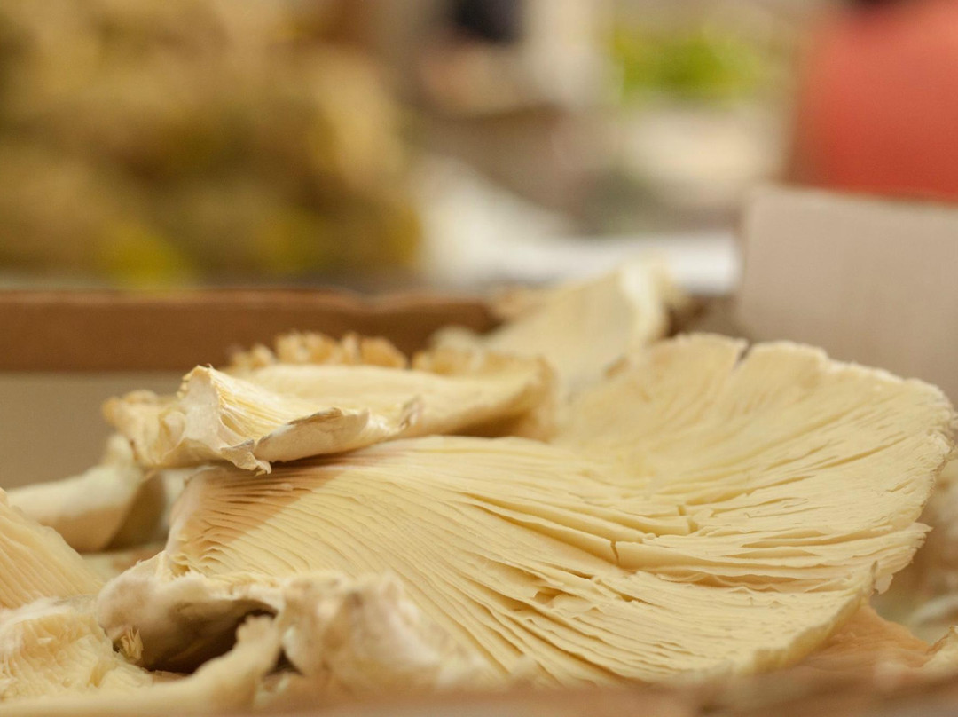 Mercado Parque La Reina-阿罗纳必去景点