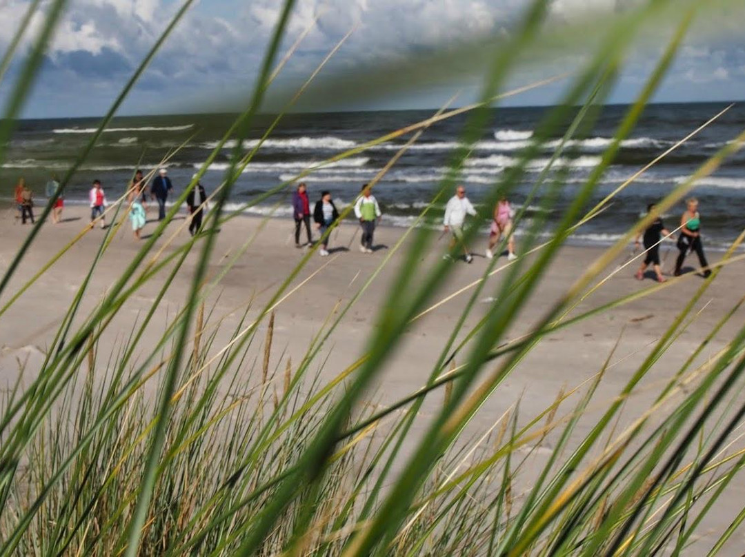 Zdrowotel Leba主图