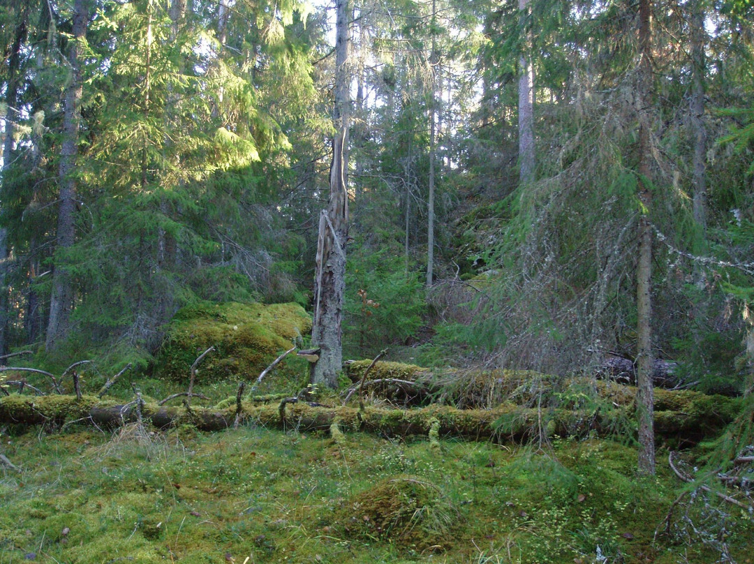 Gronudde Naturreservat-Vena必去景点