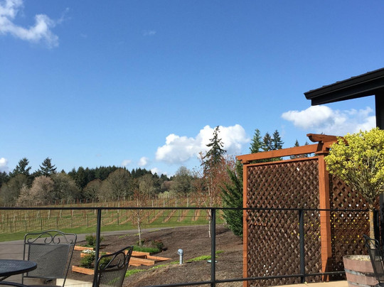 Trisaetum-纽伯格必去景点