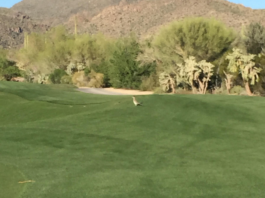 Gallery Golf Club-马拉纳必去景点
