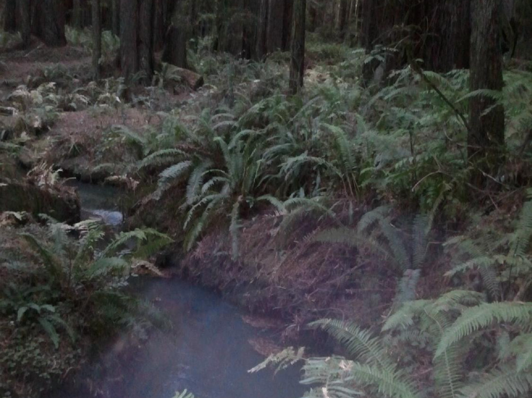 Florence Keller County Park & Campground景点图片